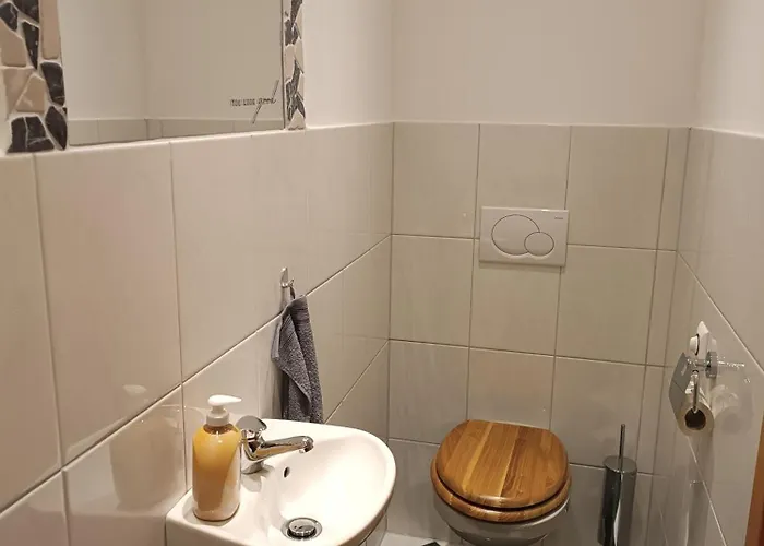 Tritscher's Dachstein Daire